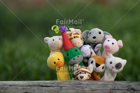 Fair Trade Photo Animals, Birthday, Colour image, Cute, Friendship, Funny, Horizontal, Invitation, Party, Peru, South America