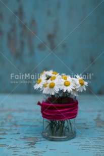 Fair Trade Photo Colour image, Peru, South America, Vertical