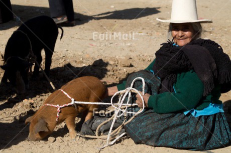 Fair Trade Photo Activity, Agriculture, Animals, Clothing, Colour image, Farmer, Hat, Horizontal, Looking at camera, Market, One woman, People, Peru, Pig, Portrait fullbody, Rural, Sombrero, South America, Traditional clothing