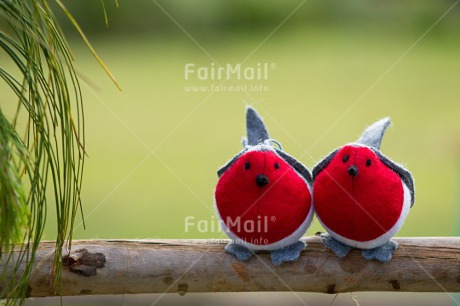 Fair Trade Photo Animals, Bird, Christmas, Colour image, Horizontal, Love, Nature, Outdoor, Peru, Red, South America, Tree, Valentines day, Wood