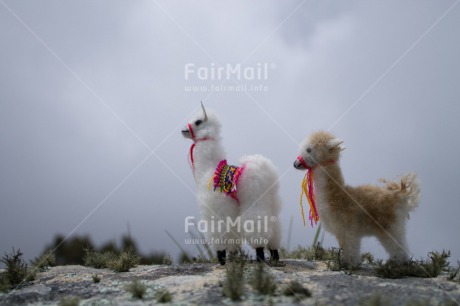 Fair Trade Photo Activity, Animals, Child, Colour image, Horizontal, Llama, Mother, Mounain, Peru, Sky, South America, Stone, Two, Walking