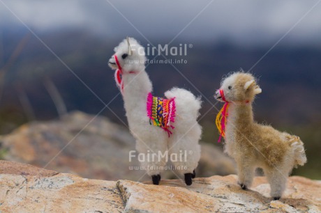 Fair Trade Photo Activity, Animals, Child, Colour image, Horizontal, Llama, Mother, Mounain, Peru, Sky, South America, Stone, Two, Walking