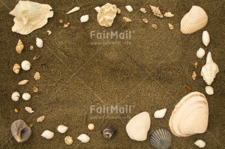 Fair Trade Photo Beach, Colour image, Holiday, Message, Outdoor, Peru, Seasons, Shell, South America, Summer, White