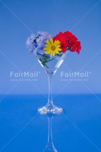 Fair Trade Photo Blue, Colour image, Colourful, Contrast, Fathers day, Flower, Flowers, Glass, Love, Marriage, Mothers day, Multi-coloured, Peru, Seasons, Sorry, South America, Spring, Summer, Thank you, Valentines day, Vertical, Wedding, White