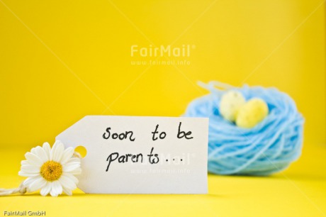 Fair Trade Photo Birth, Blue, Colour image, Daisy, Egg, Flower, Food and alimentation, Horizontal, Letter, Nest, New baby, Peru, South America, Text, Yellow