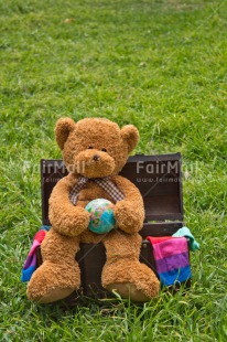 Fair Trade Photo Animals, Bear, Birthday, Colour image, Fathers day, Friendship, Grass, Gree, Holiday, Love, Mothers day, Moving, Peluche, Peru, Sorry, South America, Suitcase, Thank you, Thinking of you, Travel, Valentines day, Welcome home, World, World map