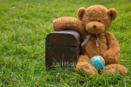 Fair Trade Photo Animals, Bear, Birthday, Colour image, Fathers day, Friendship, Grass, Gree, Holiday, Love, Mothers day, Moving, Peluche, Peru, Sorry, South America, Suitcase, Thank you, Thinking of you, Travel, Valentines day, Welcome home, World, World map
