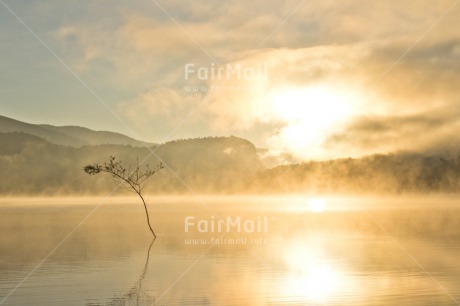 Fair Trade Photo Chachapoyas, Colour image, Fog, Horizontal, Lake, Landscape, Nature, Peru, Reflection, South America, Sun, Sunrise, Tree, Water