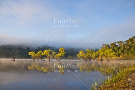 Fair Trade Photo Chachapoyas, Colour image, Fog, Horizontal, Lake, Landscape, Nature, Peru, Reflection, South America, Sunrise, Tree, Water