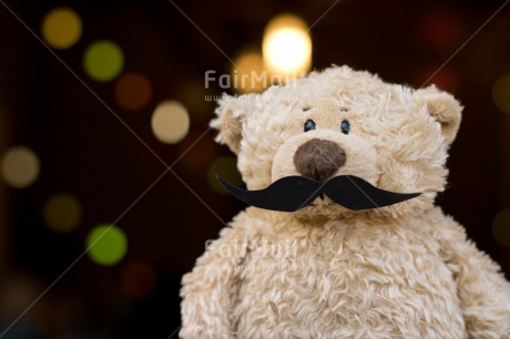 Fair Trade Photo Birthday, Black, Colour image, Fathers day, Friendship, Horizontal, Light, Moustache, Peluche, Peru, South America