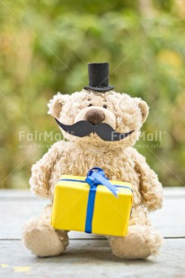 Fair Trade Photo Birthday, Colour image, Fathers day, Green, Moustache, Peluche, Peru, Present, South America, Vertical