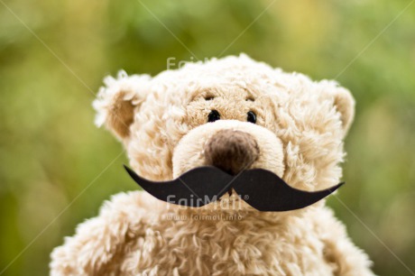 Fair Trade Photo Birthday, Colour image, Fathers day, Green, Horizontal, Moustache, Peluche, Peru, South America