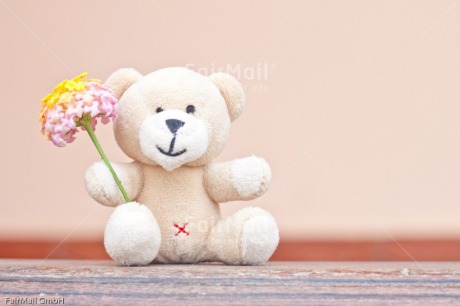 Fair Trade Photo Animals, Bear, Birth, Birthday, Colour image, Flower, Friendship, Horizontal, Love, Mothers day, New baby, Peluche, Peru, South America, Teddybear, Thank you, Thinking of you, Valentines day, Welcome home