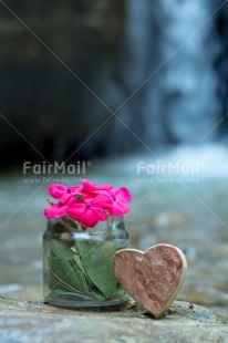 Fair Trade Photo Birthday, Colour image, Fathers day, Flower, Friendship, Heart, Love, Mothers day, Peru, South America, Thank you, Thinking of you, Valentines day, Vertical, Viaje tarapoto. jar, Waterfall, Wood
