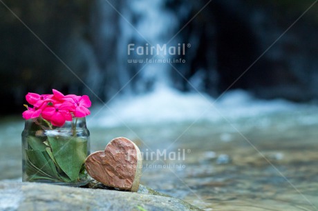 Fair Trade Photo Birthday, Colour image, Fathers day, Flower, Friendship, Heart, Horizontal, Love, Mothers day, Peru, South America, Thank you, Thinking of you, Valentines day, Viaje tarapoto. jar, Waterfall, Wood