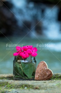 Fair Trade Photo Birthday, Colour image, Fathers day, Flower, Friendship, Heart, Love, Mothers day, Peru, South America, Thank you, Thinking of you, Valentines day, Vertical, Viaje tarapoto. jar, Waterfall, Wood