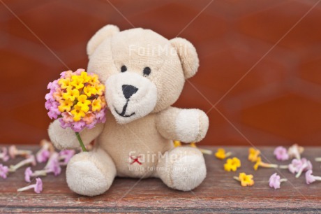 Fair Trade Photo Animals, Bear, Birthday, Colour image, Flower, Love, Peluche, Peru, Pink, Sorry, South America, Teddybear, Thank you, Thinking of you, Valentines day, Welcome home, Yellow