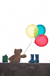 Fair Trade Photo Animals, Balloon, Bear, Birth, Birthday, Boot, Colour image, Congratulations, Fathers day, Friendship, Get well soon, Holiday, Mothers day, New Job, New beginning, New home, Peluche, Peru, South America, Suitcase, Teddybear, Travel, Welcome home