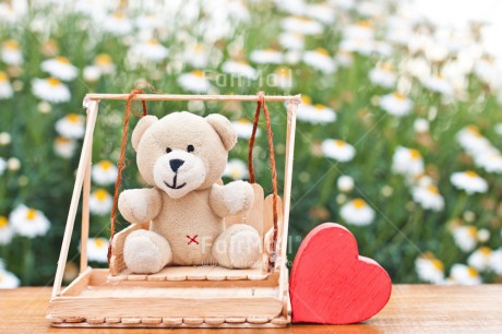 Fair Trade Photo Animals, Bear, Birthday, Colour image, Daisy, Flower, Heart, Love, Peluche, Peru, Red, Sorry, South America, Swing, Teddybear, Thank you, Thinking of you, Valentines day, Welcome home