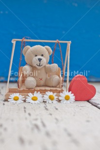 Fair Trade Photo Animals, Bear, Birthday, Blue, Colour image, Daisy, Flower, Heart, Love, Peluche, Peru, Red, Sorry, South America, Swing, Teddybear, Thank you, Thinking of you, Valentines day, Welcome home