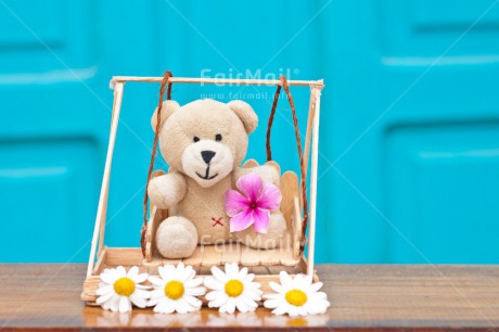 Fair Trade Photo Animals, Bear, Birthday, Blue, Colour image, Daisy, Flower, Heart, Love, Peluche, Peru, Red, Sorry, South America, Swing, Teddybear, Thank you, Thinking of you, Valentines day, Welcome home