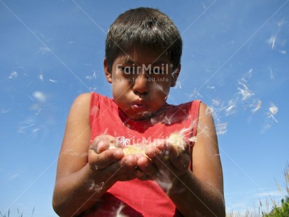 Fair Trade Photo 10-15 years, Activity, Blowing, Colour image, Day, Flower, Get well soon, Good luck, Growth, Hand, Hope, Horizontal, Latin, One boy, Outdoor, People, Peru, Portrait headshot, Red, Seasons, Sky, South America, Summer, Thinking of you, Well done, Wishing