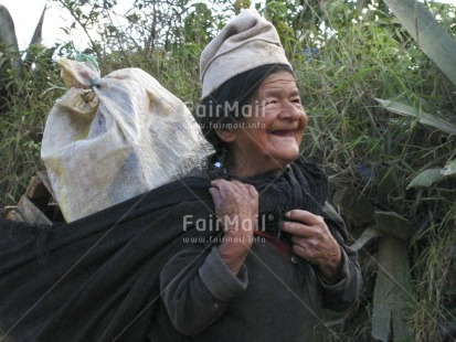 Fair Trade Photo 55-60 years, Activity, Agriculture, Carrying, Colour image, Day, Emotions, Funny, Green, Happiness, Horizontal, Latin, Looking away, Old age, One woman, Outdoor, People, Peru, Portrait halfbody, Rural, Smile, Smiling, South America