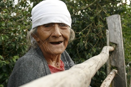 Fair Trade Photo Activity, Agriculture, Colour image, Emotions, Happiness, Horizontal, Looking at camera, Old age, One woman, People, Peru, Portrait headshot, Smile, Smiling, South America