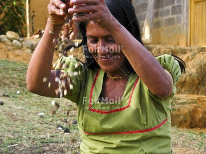 Fair Trade Photo 35-40 years, Activity, Agriculture, Casual clothing, Clothing, Coffee, Colour image, Day, Farmer, Food and alimentation, Horizontal, Latin, One woman, Outdoor, People, Peru, Rural, South America, Throwing, Working