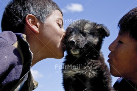 Fair Trade Photo 5 -10 years, Animals, Colour image, Cute, Day, Dog, Friendship, Horizontal, Latin, Love, Outdoor, People, Peru, South America, Two boys, Two children