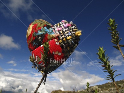 Fair Trade Photo Closeup, Colour image, Day, Heart, Horizontal, Love, Outdoor, Peru, Plant, Rural, Sky, South America, Tabletop, Valentines day