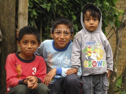 Fair Trade Photo Activity, Colour image, Cute, Dailylife, Friendship, Group of boys, Group of children, Horizontal, Looking at camera, Outdoor, People, Peru, Portrait halfbody, South America, Together