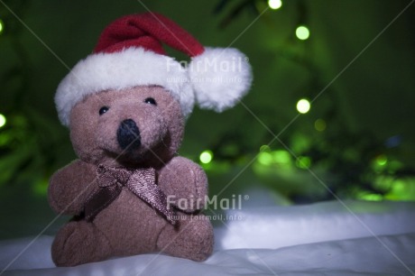 Fair Trade Photo Christmas, Colour image, Focus on foreground, Green, Horizontal, Indoor, Peru, Red, South America, Tabletop, Teddybear