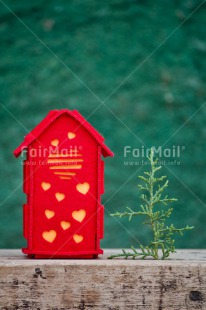 Fair Trade Photo Chachapoyas, Christmas, Christmas decoration, Christmas tree, Colour, Colour image, Green, Object, Peru, Place, Red, South America, Vertical