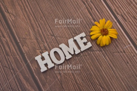Fair Trade Photo Build, Colour image, Food and alimentation, Home, Horizontal, Move, Nest, New home, New life, Object, Owner, Peru, Place, South America, Sweet, Welcome home, Wood