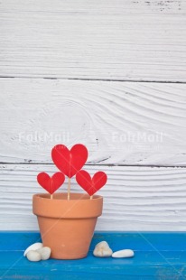 Fair Trade Photo Build, Colour, Colour image, Food and alimentation, Heart, Home, Move, Nest, New home, New life, Object, Owner, Peru, Place, Red, South America, Sweet, Vertical, Welcome home, White