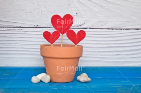 Fair Trade Photo Build, Colour, Colour image, Food and alimentation, Heart, Home, Horizontal, Move, Nest, New home, New life, Object, Owner, Peru, Place, Red, South America, Sweet, Welcome home, White