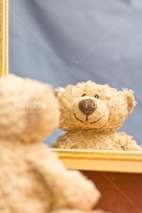 Fair Trade Photo Baby, Birthday, Blue, Boy, Brother, Colour, Fathers day, Friendship, Heart, Love, Mirror, New baby, Object, Peluche, People, Sister, Thank you, Thinking of you, Vertical