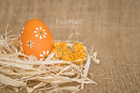 Fair Trade Photo Adjective, Easter, Egg, Food and alimentation, Fruits, Horizontal, Nest, Object, Orange