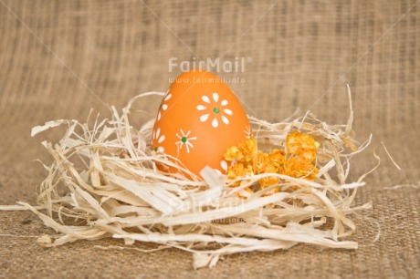 Fair Trade Photo Adjective, Easter, Egg, Food and alimentation, Fruits, Horizontal, Nest, Object, Orange