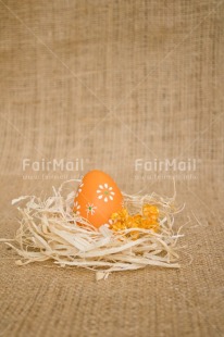 Fair Trade Photo Adjective, Easter, Egg, Food and alimentation, Fruits, Nest, Object, Orange, Vertical