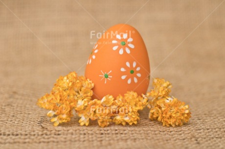 Fair Trade Photo Adjective, Easter, Egg, Food and alimentation, Fruits, Horizontal, Orange