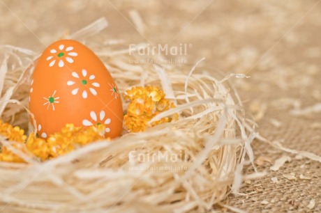 Fair Trade Photo Adjective, Easter, Egg, Food and alimentation, Fruits, Horizontal, Nest, Object, Orange