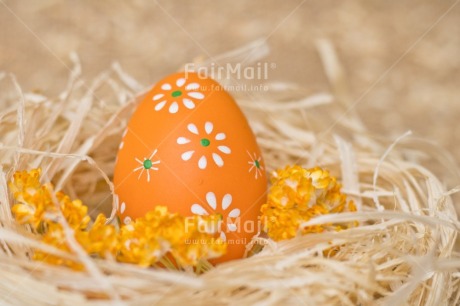 Fair Trade Photo Adjective, Easter, Egg, Food and alimentation, Fruits, Horizontal, Nest, Object, Orange
