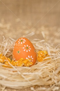 Fair Trade Photo Adjective, Easter, Egg, Food and alimentation, Fruits, Nest, Object, Orange, Vertical