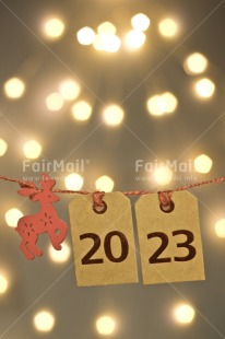 Fair Trade Photo 2023, Activity, Adjective, Animals, Celebrating, Colour, Light, Nature, New Year, Object, Present, Red, Reindeer, Vertical, Washingline