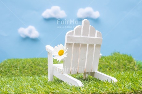 Fair Trade Photo Bench, Birthday, Chair, Cloud, Daisy, Flower, Grass, Holiday, Love, Nature, New beginning, Object, Relax, Retire, Retirement, Thinking of you
