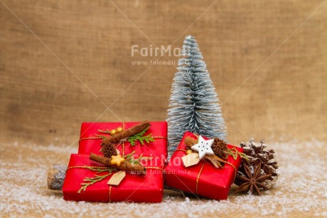 Fair Trade Photo Christmas, Christmas decoration, Christmas tree, Object, Pine cone, Present