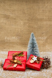 Fair Trade Photo Christmas, Christmas decoration, Christmas tree, Object, Pine cone, Present