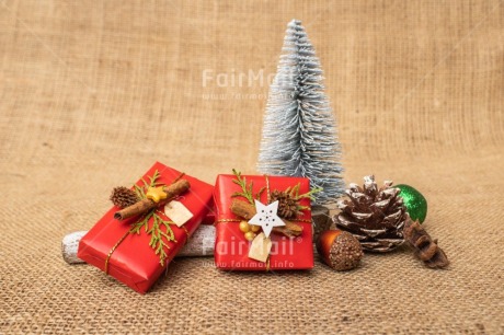 Fair Trade Photo Christmas, Christmas decoration, Christmas tree, Object, Pine cone, Present